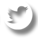 twitter logo