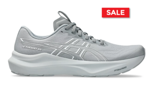 Asics GT-2000 14